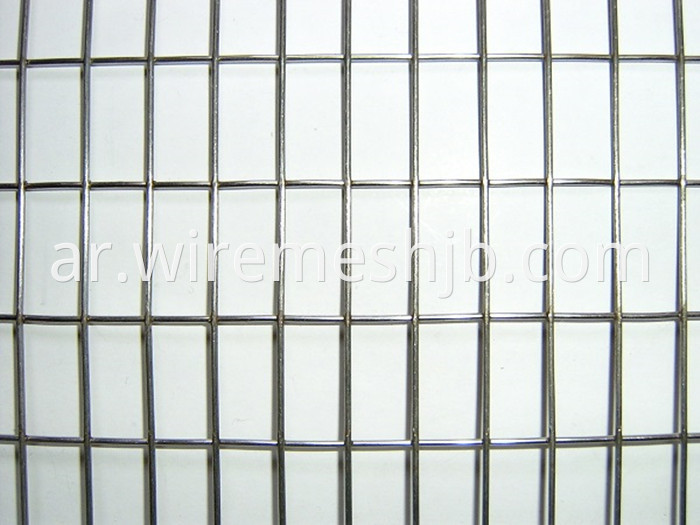 Stainless Steel Welded Mesh